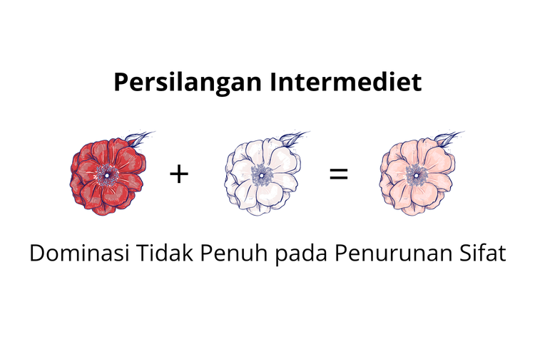 Detail Mencari Dominan Warna Pada Gambar Nomer 31