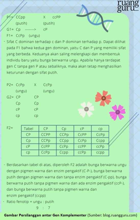 Detail Mencari Dominan Warna Pada Gambar Nomer 34