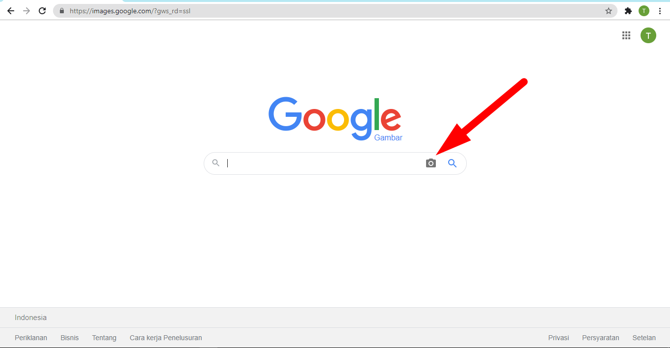 Detail Mencari Gambar Di Google Nomer 18