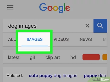 Detail Mencari Lewat Gambar Di Google Nomer 5