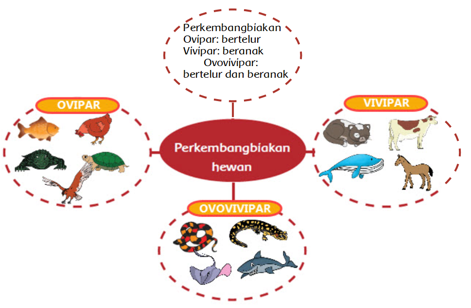 Detail Mengapa Hewan Berkembang Biak Nomer 14