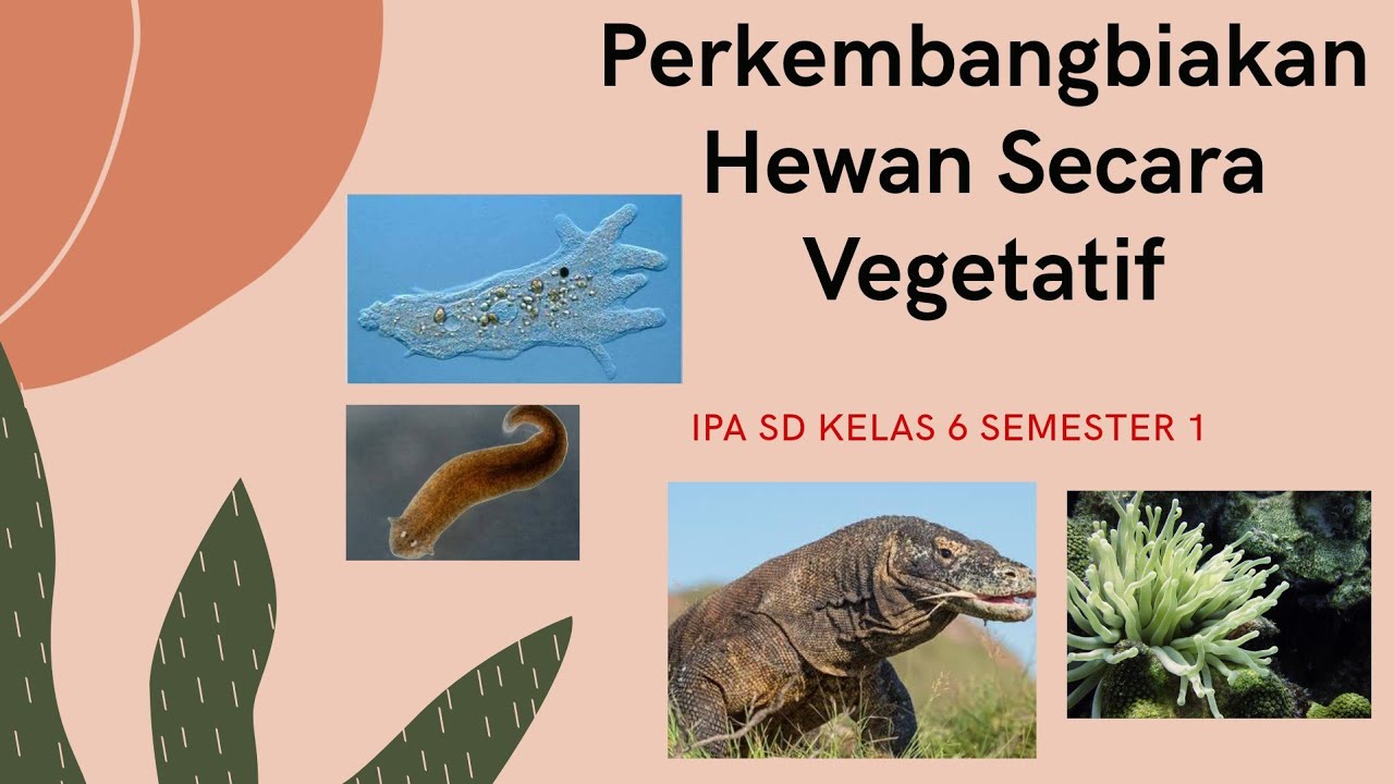 Detail Mengapa Hewan Berkembang Biak Nomer 37