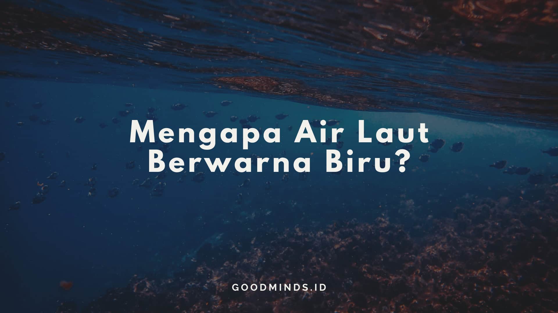 Detail Mengapa Laut Berwarna Biru Nomer 38