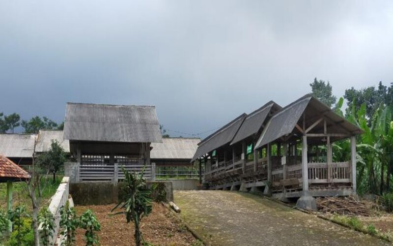 Detail Mengapa Rumah Betang Sangat Istimewa Nomer 26