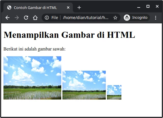 Detail Mengapa Sehingga Kode Php Tidak Bisa Menampilkan Gambar Di Browser Nomer 15