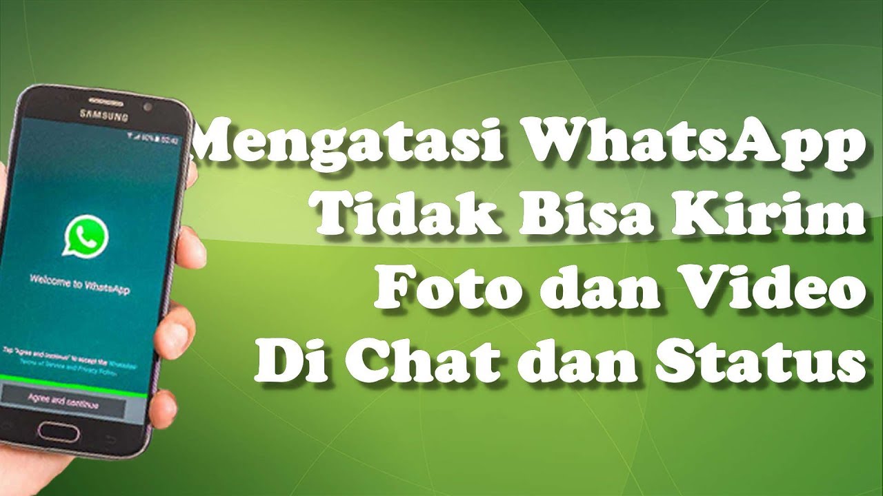 Detail Mengapa Wa Tidak Bisa Mengirim Foto Nomer 50