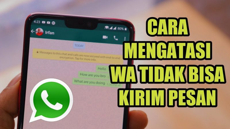 Detail Mengapa Wa Tidak Bisa Mengirim Foto Nomer 9