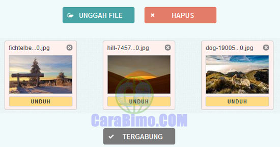 Detail Mengubah Gambar Menjadi Bmp Online Nomer 47