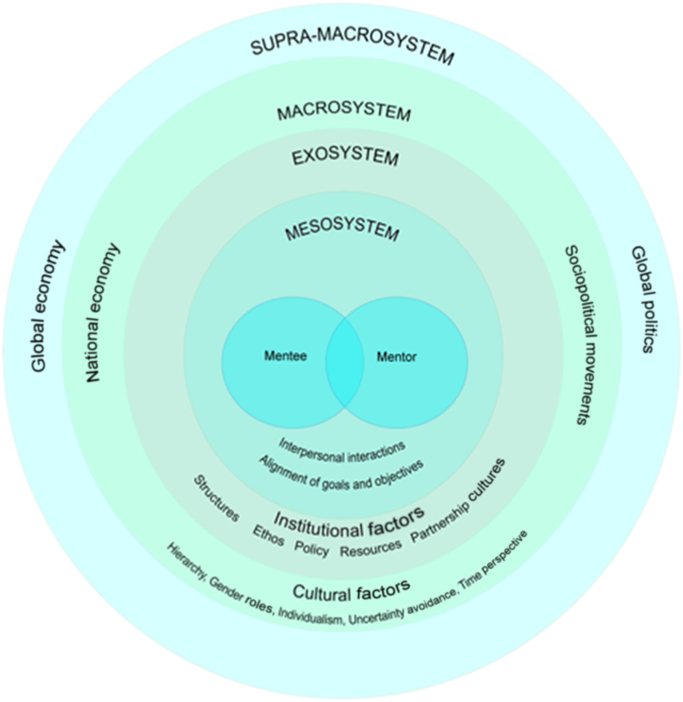 Detail Mentoring Framework Template Nomer 3