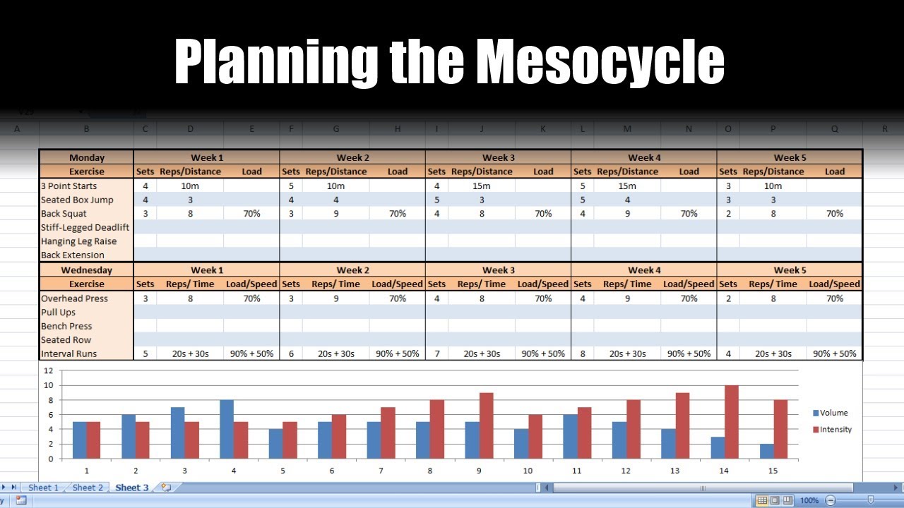 Mesocycle Template Excel - KibrisPDR