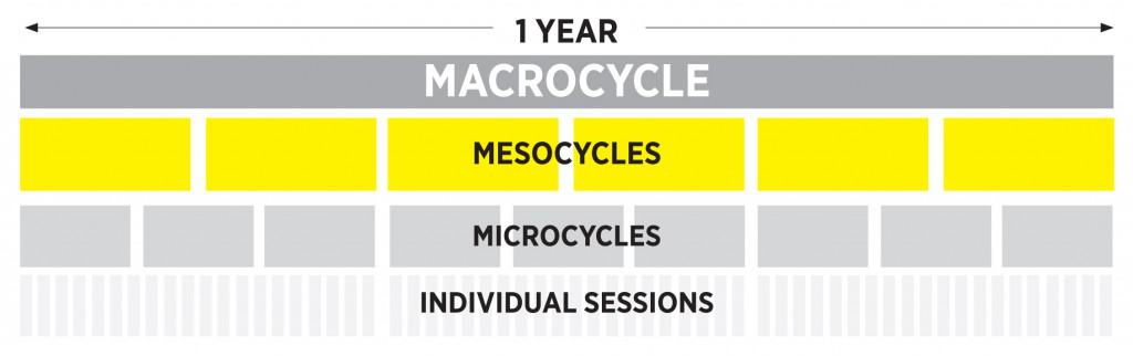 Detail Mesocycle Template Excel Nomer 26