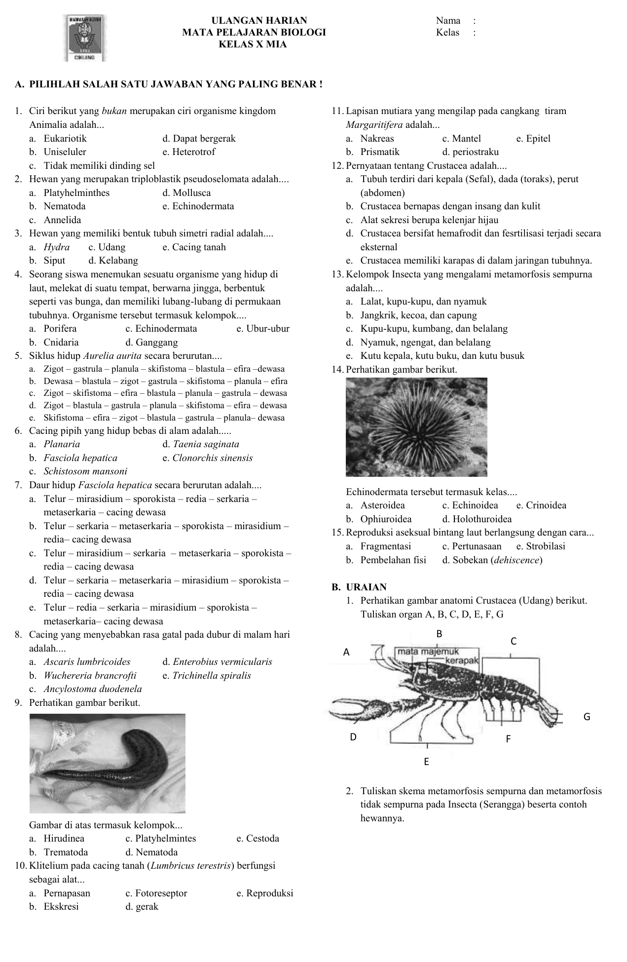 Detail Metamorfosis Kutu Buku Nomer 43