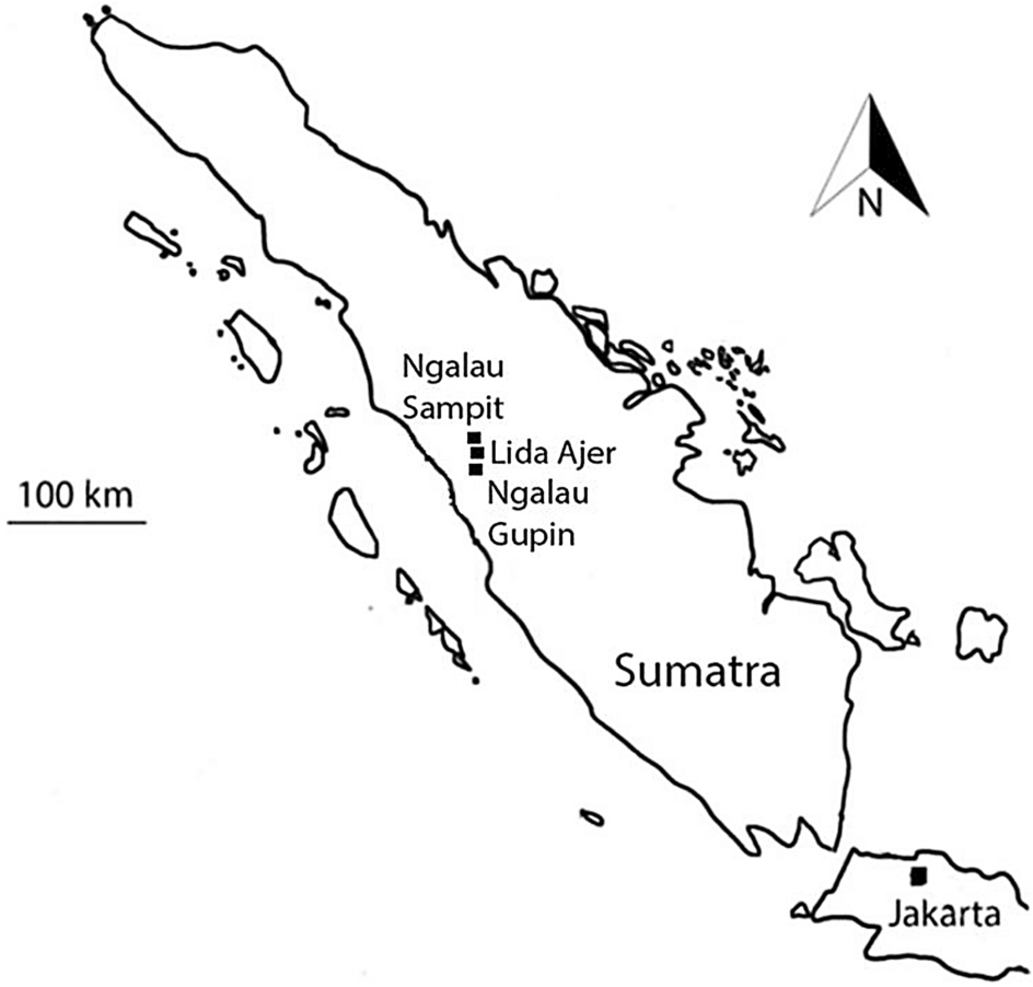 Download Mewarnai Gambar Pulau Nomer 6