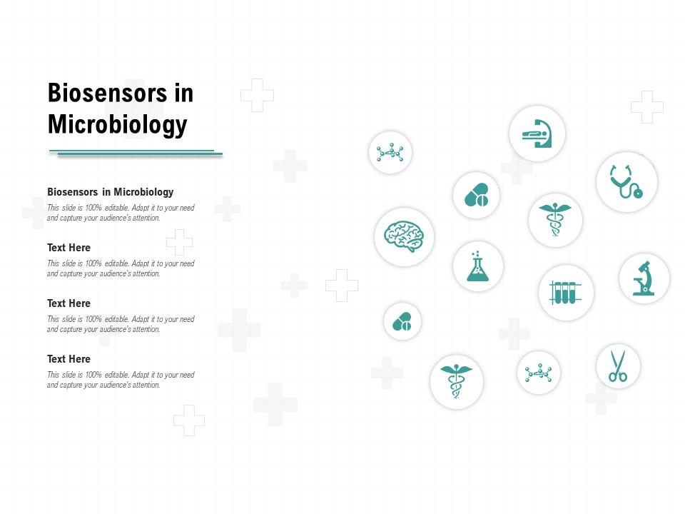 Detail Microbiology Ppt Template Nomer 17
