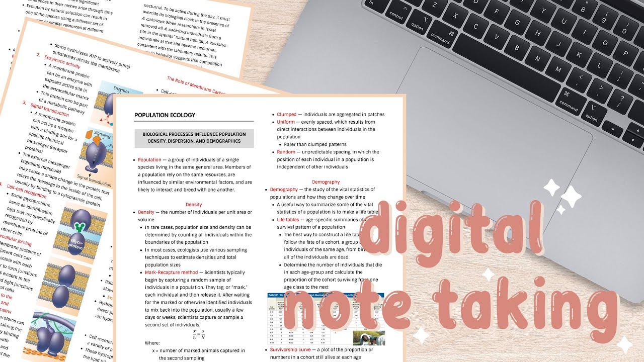Detail Microsoft Word Notes Template Nomer 38