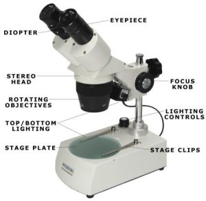 Detail Mikroskop Elektron Adalah Nomer 37