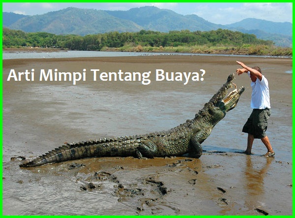 Detail Mimpi Mancing Dapat Buaya Nomer 8