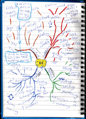 Detail Mind Mapping Buku Nomer 30