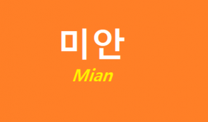 Detail Minta Maaf Bahasa Korea Nomer 18