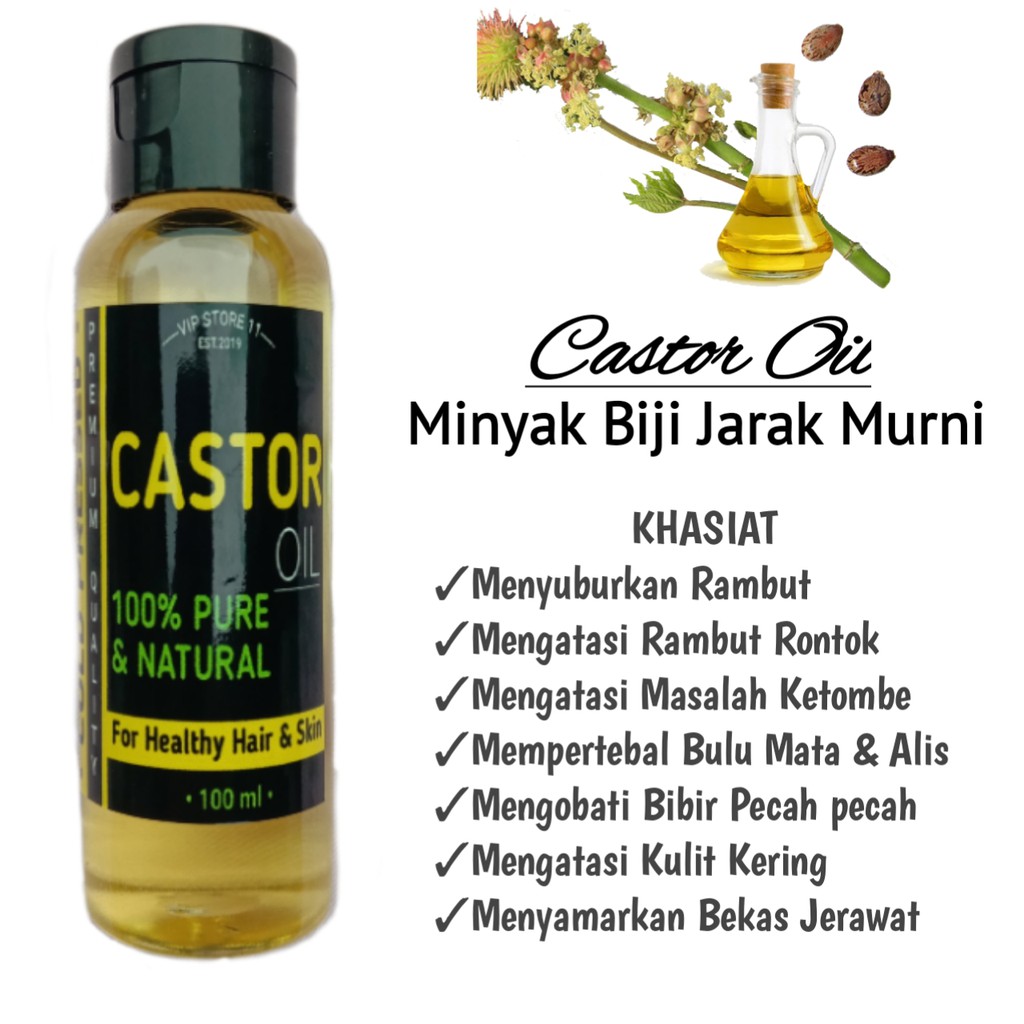 Minyak Jarak Untuk Rambut - KibrisPDR