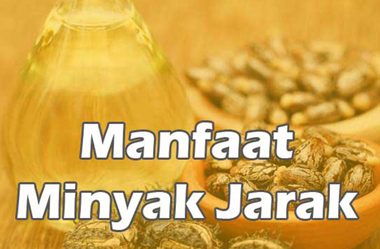 Detail Minyak Jarak Untuk Rambut Nomer 21