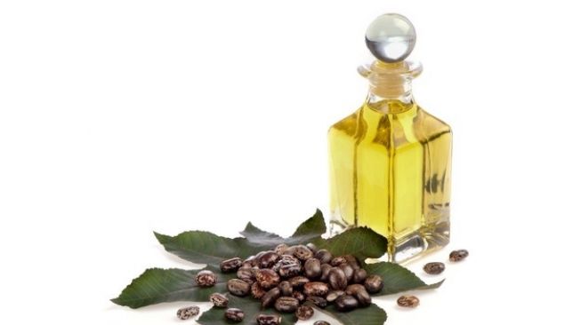Detail Minyak Jarak Untuk Rambut Nomer 34