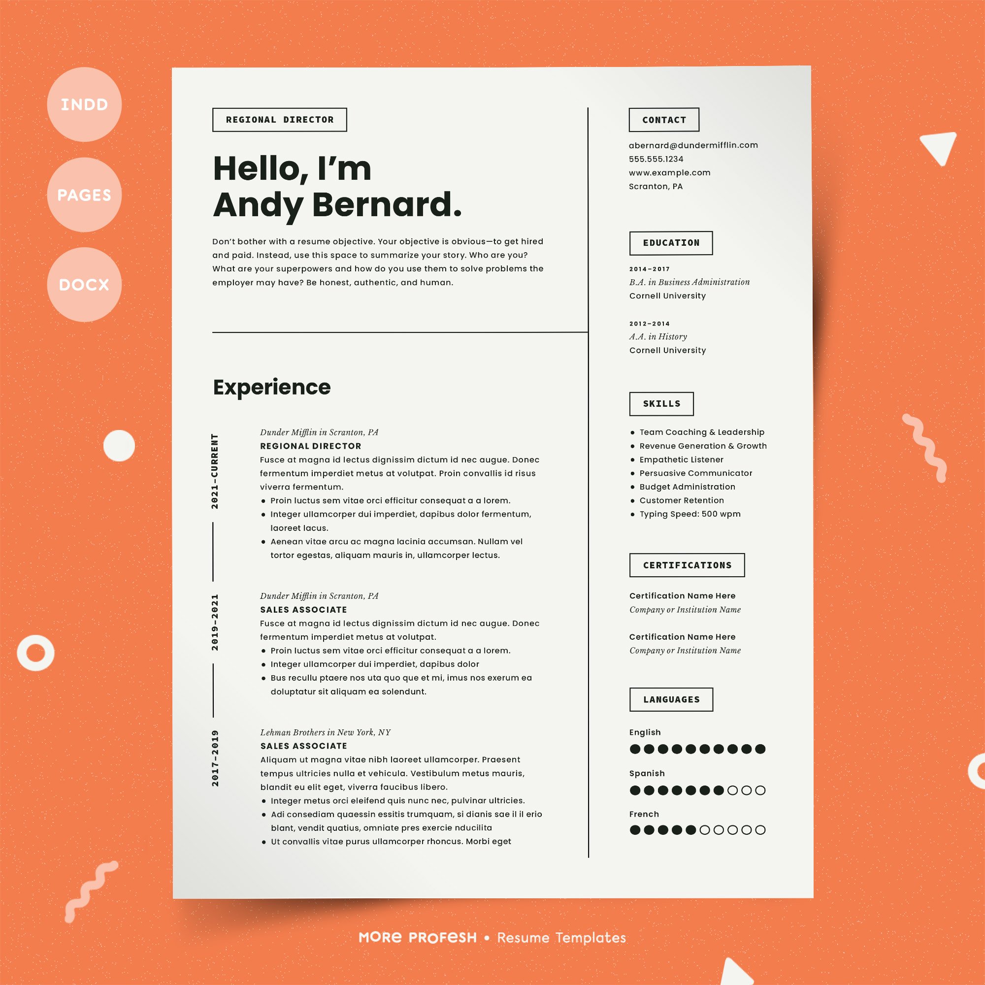 Detail Modern Cv Template Nomer 15