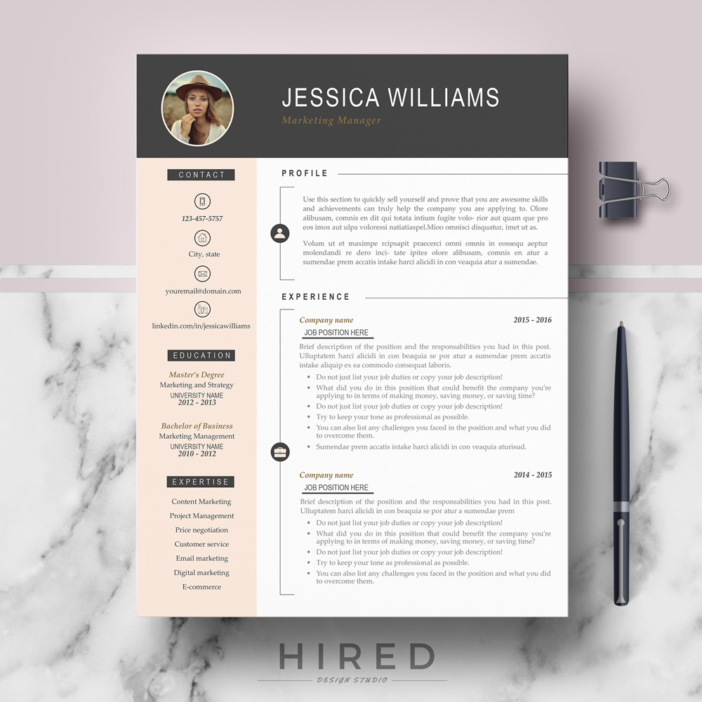 Detail Modern Cv Template Nomer 21