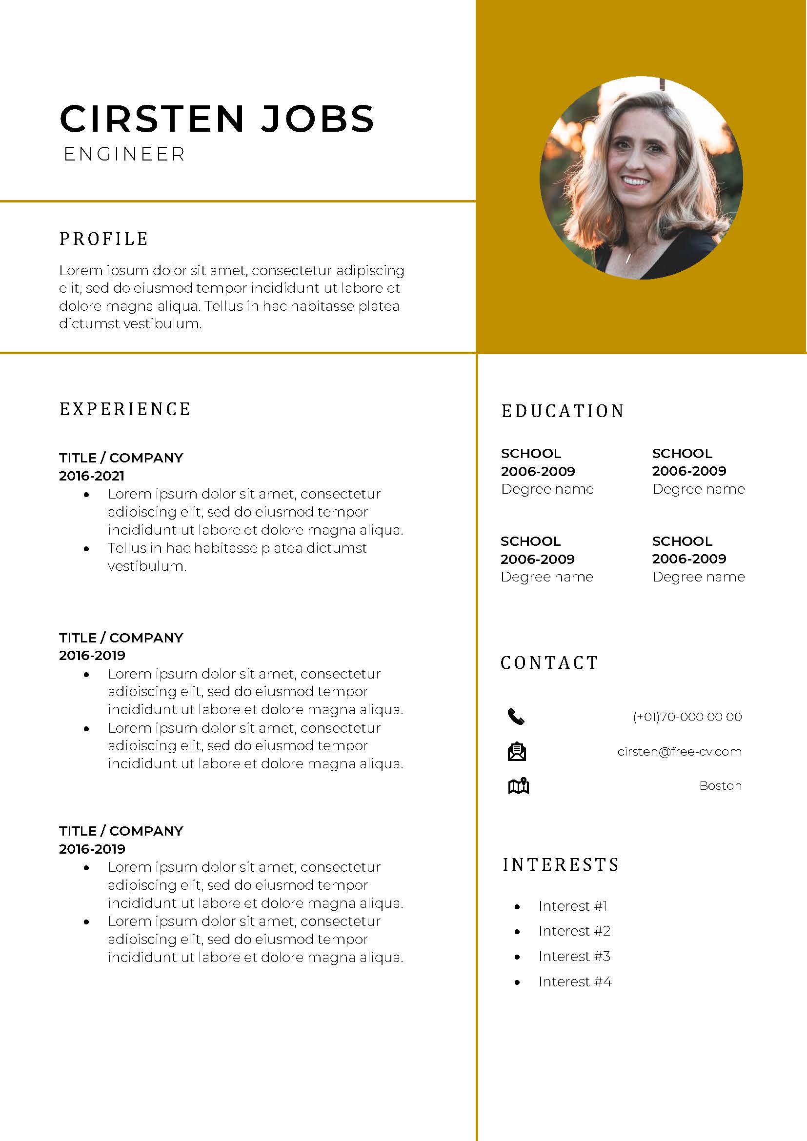 Detail Modern Cv Template Free Nomer 21
