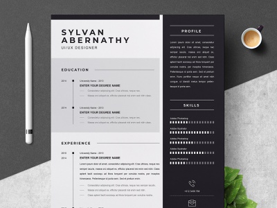 Detail Modern Cv Template Microsoft Word Nomer 40