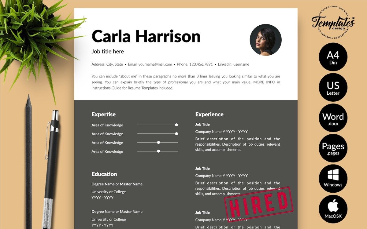 Detail Modern Cv Template Microsoft Word Nomer 52