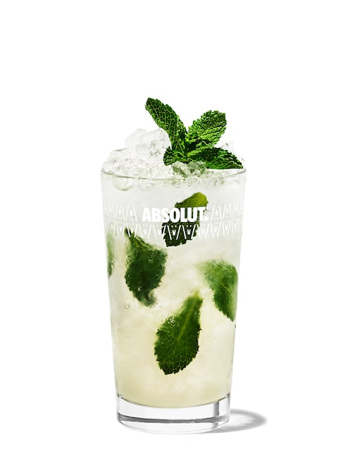 Detail Mojito Cocktail Resep Nomer 30