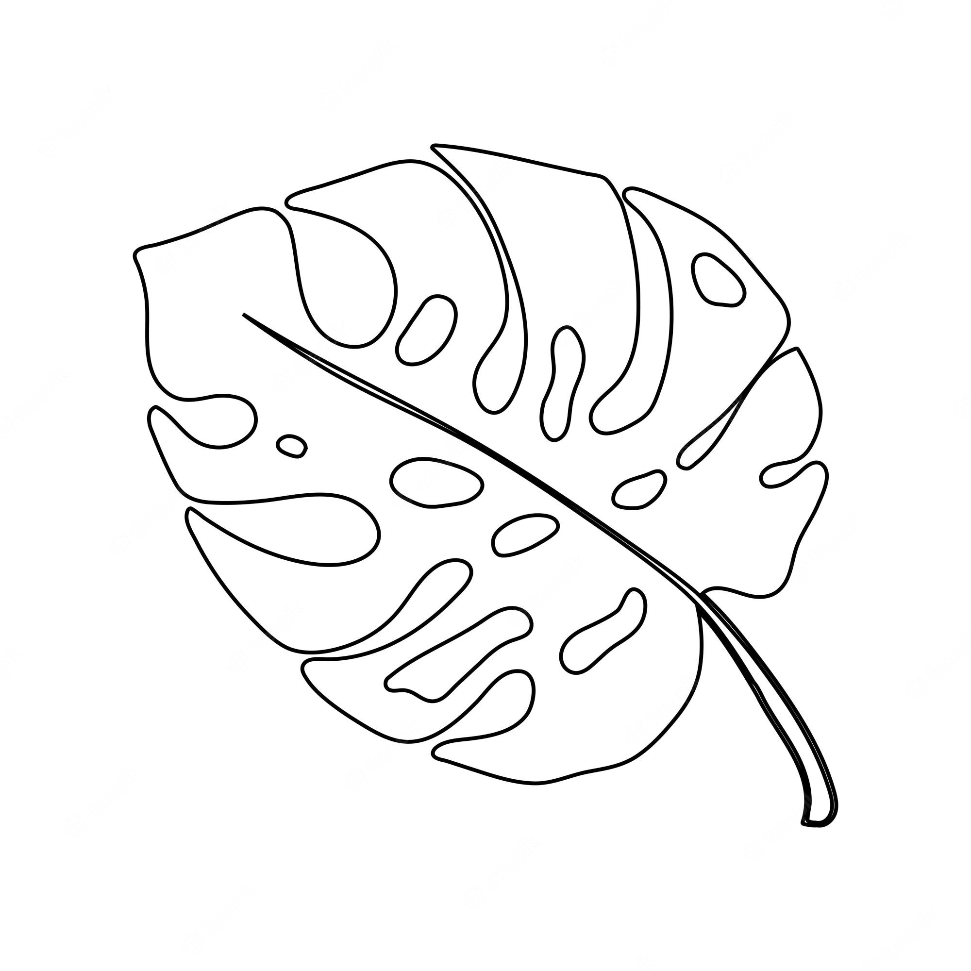 Detail Monstera Leaf Template Nomer 13