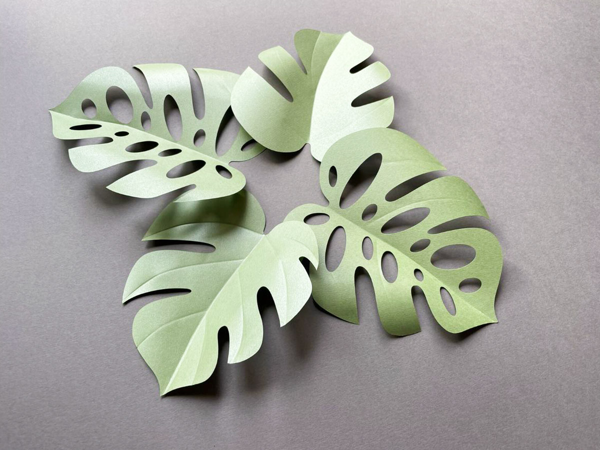 Detail Monstera Leaf Template Nomer 14