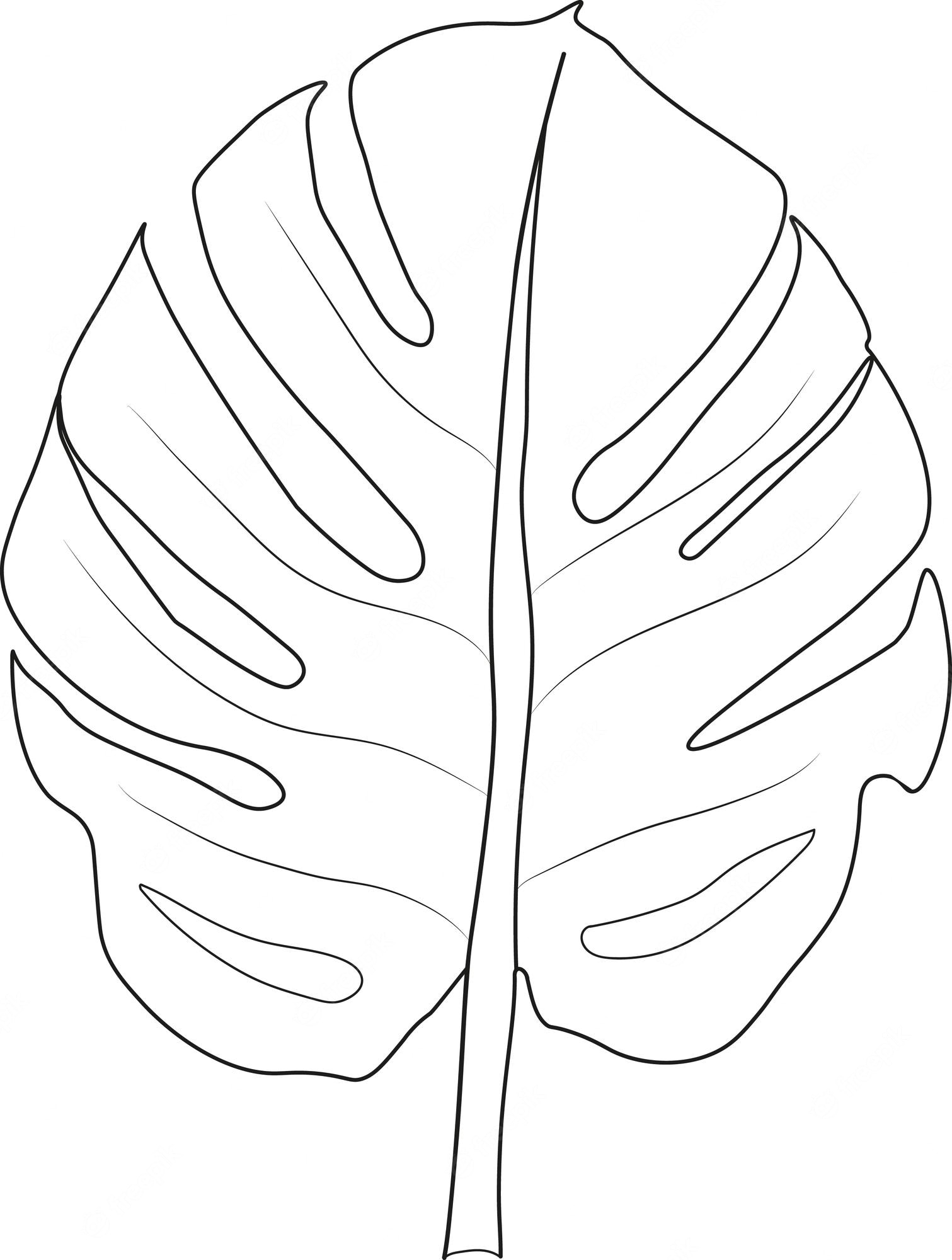 Detail Monstera Leaf Template Nomer 20