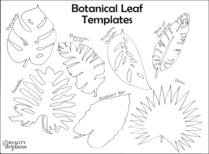 Detail Monstera Leaf Template Nomer 28