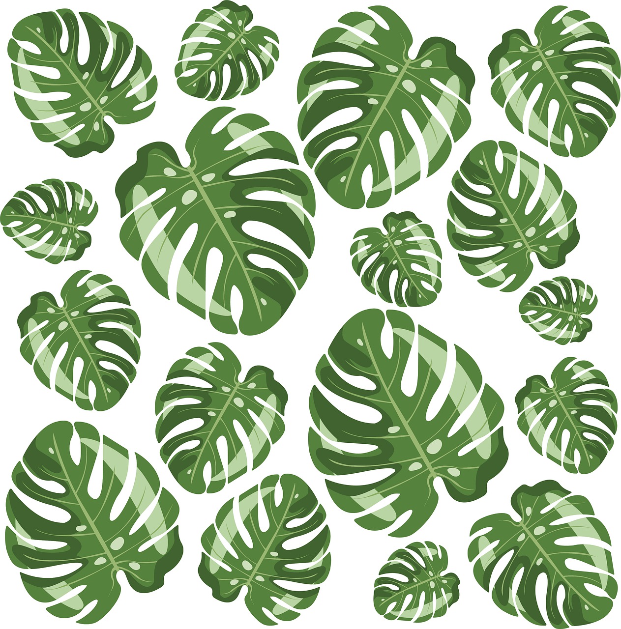 Detail Monstera Leaf Template Nomer 53