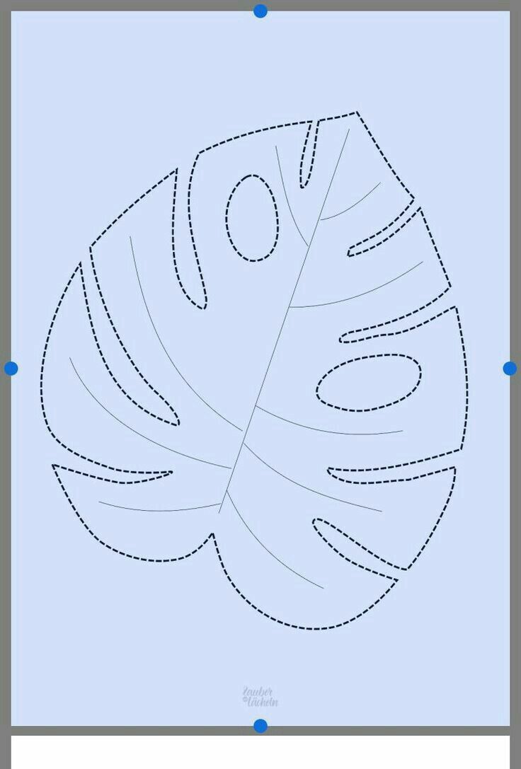 Detail Monstera Leaf Template Nomer 54