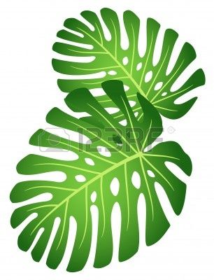 Detail Monstera Leaf Template Nomer 9