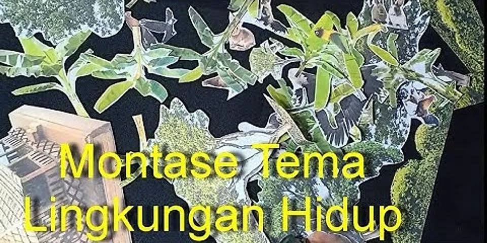 Detail Montase Adalah Menempel Gambar Dari Montase Kapal Nomer 24