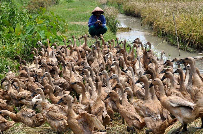 Detail Montir Adalah Pekerjaan Yang Menghasilkan Nomer 50