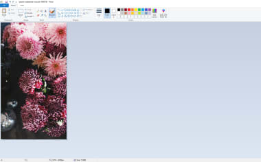 Detail Ms Paint Download Nomer 11