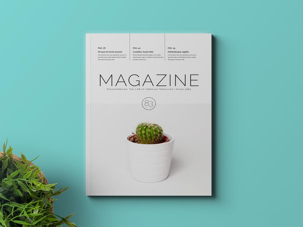 Detail Multipurpose Indesign Magazine Template Nomer 42