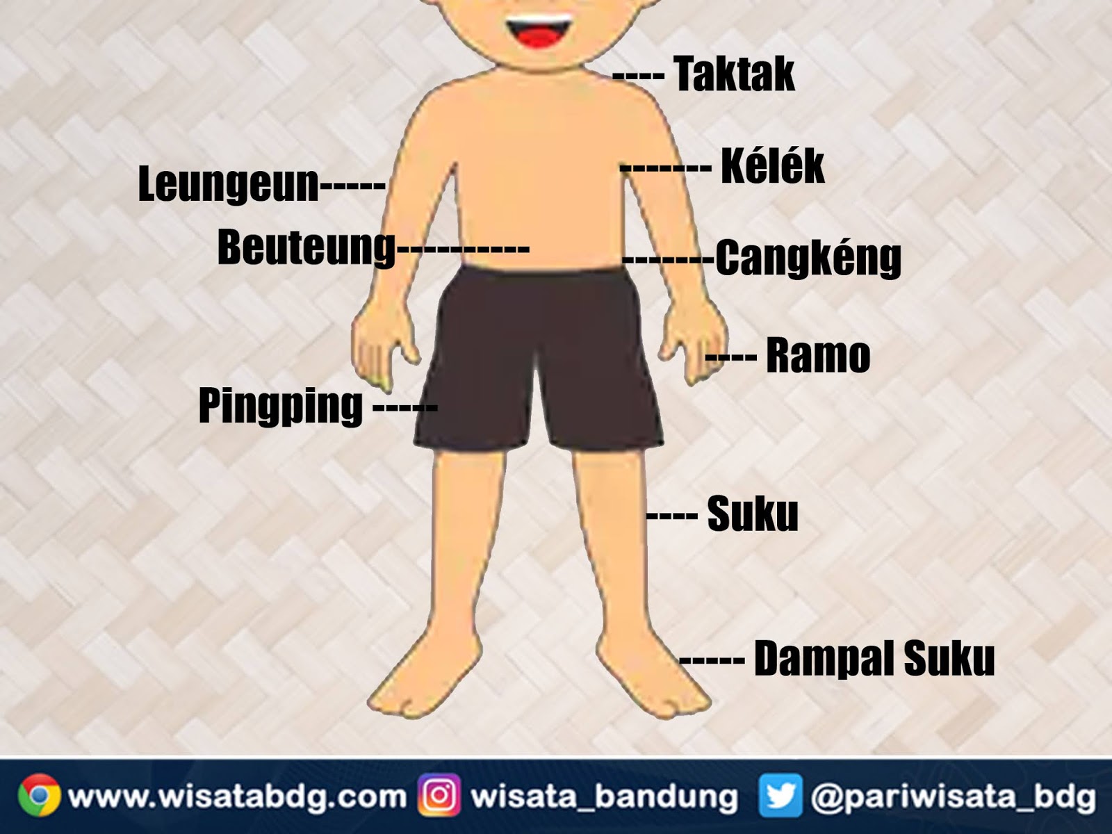 Detail Nama Anggota Tubuh Beserta Gambar Nomer 2