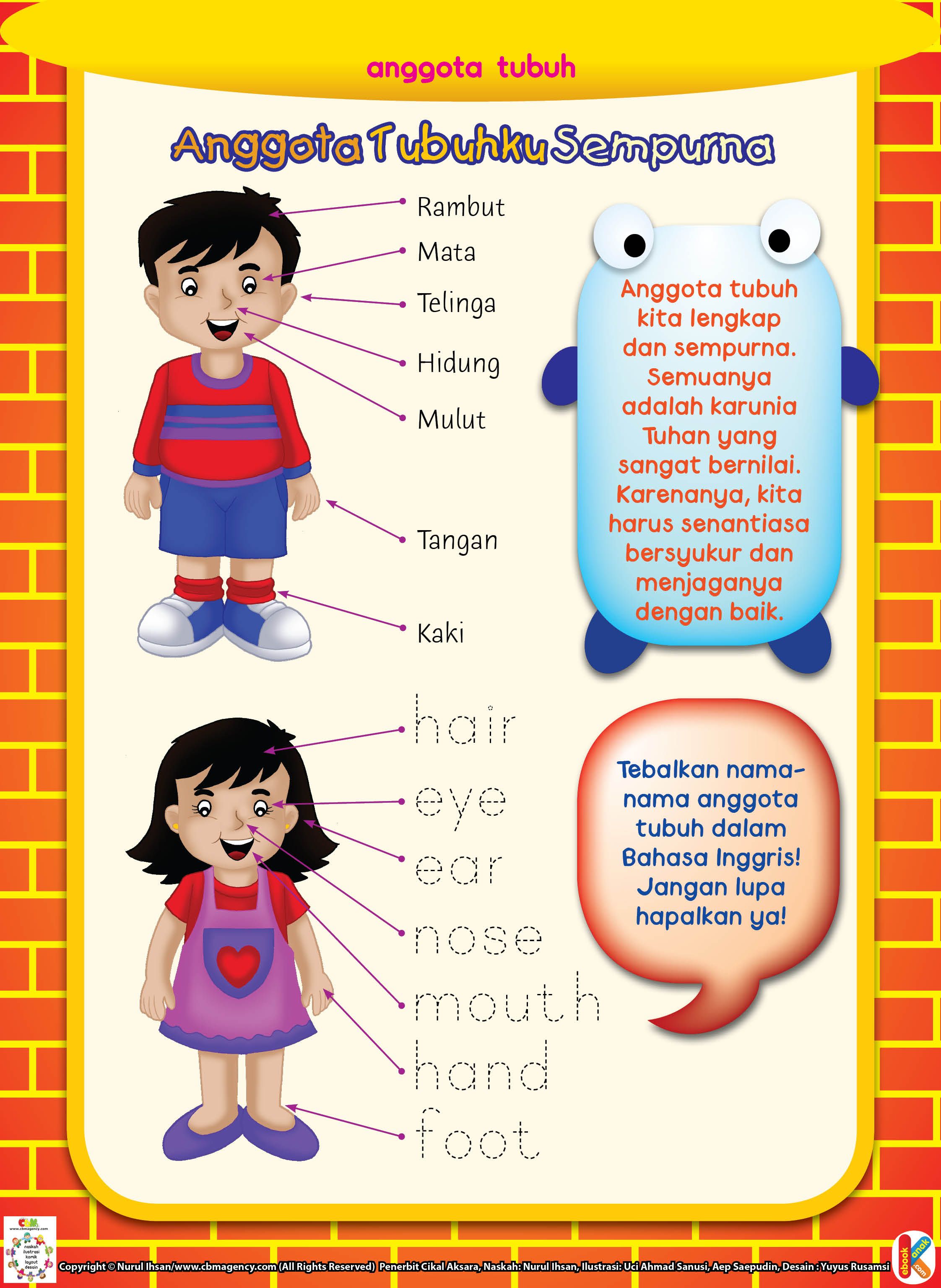 Detail Nama Anggota Tubuh Beserta Gambar Nomer 31