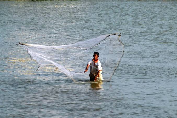 Detail Nama Jaring Untuk Menangkap Ikan Nomer 5