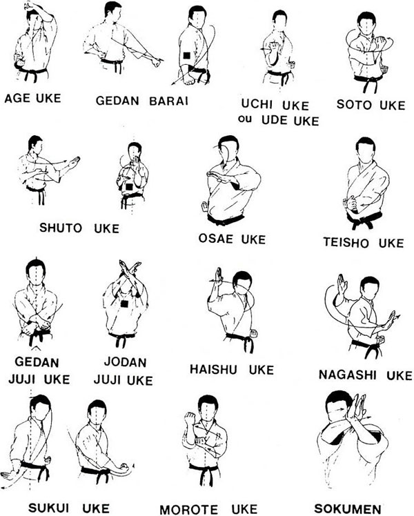 Detail Nama Jurus Karate Dalam Bahasa Jepang Nomer 12