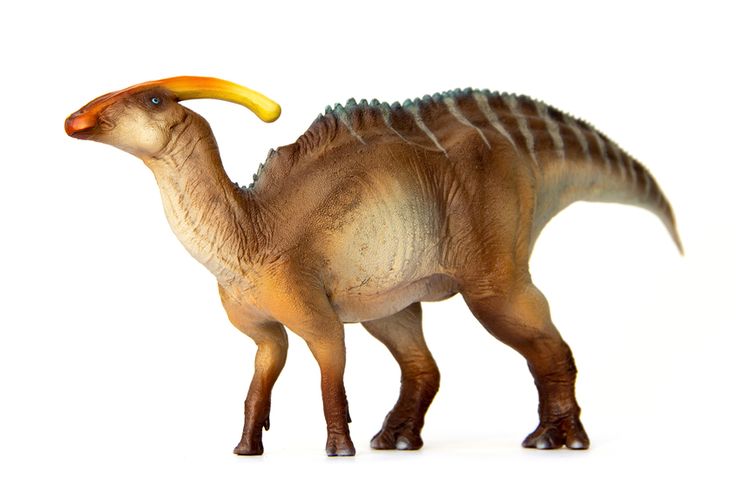Detail Nama Nama Dinosaurus Beserta Gambarnya Nomer 12