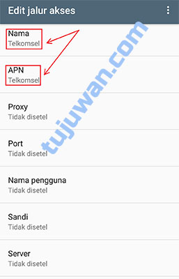 Detail Nama Titik Akses Telkomsel Nomer 41