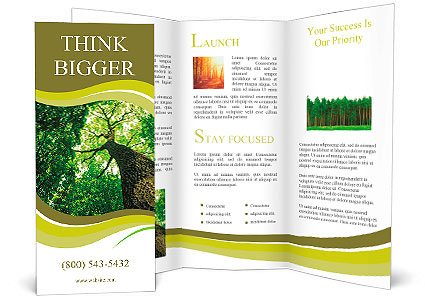 Detail Nature Brochure Template Nomer 21